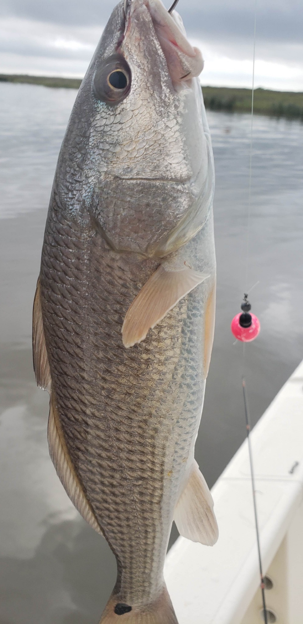 Resized_20190504_094358_11859193298391_1743451517194