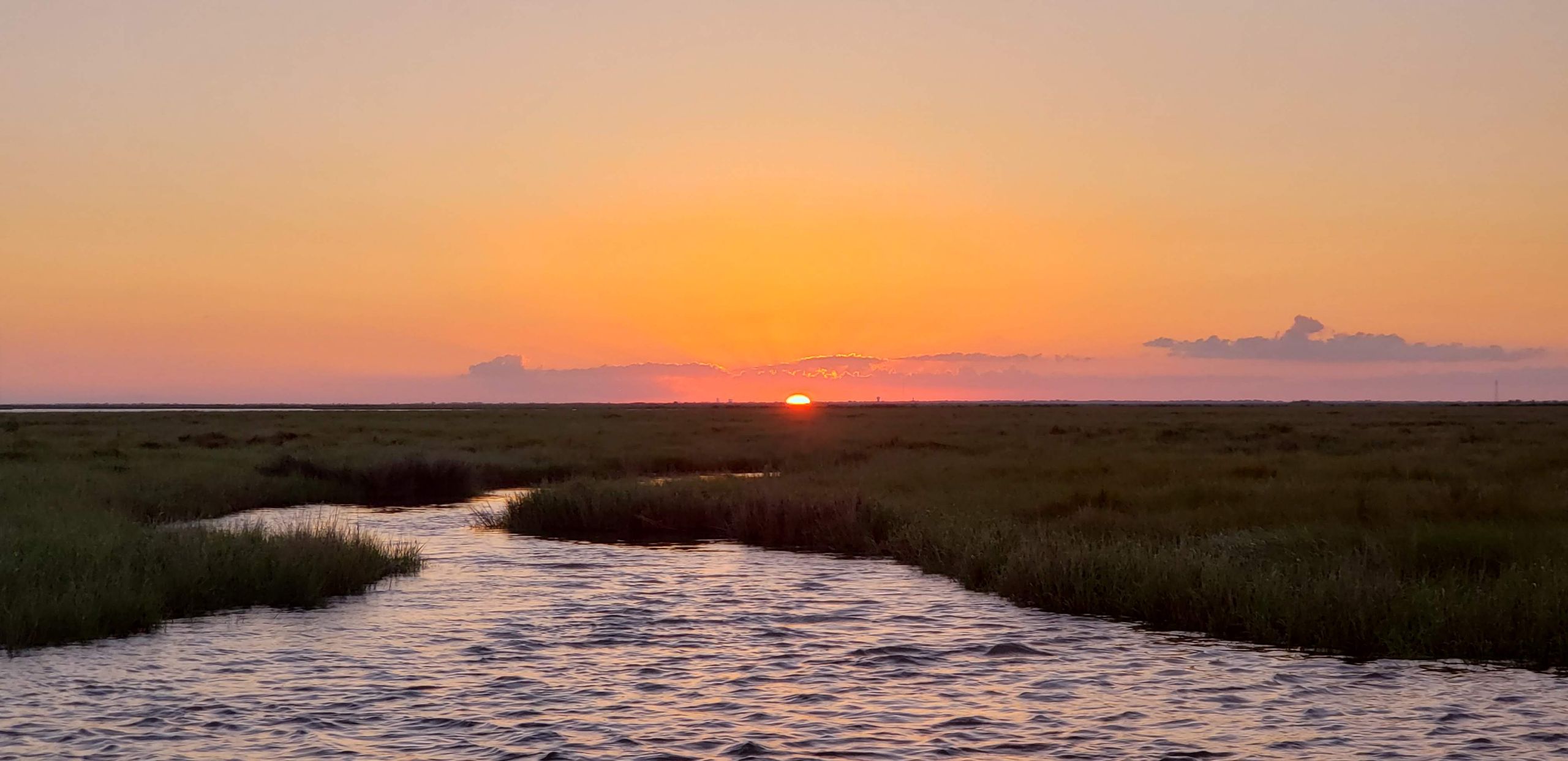 Resized_20190524_194904_11798046317425_1743451456021-1