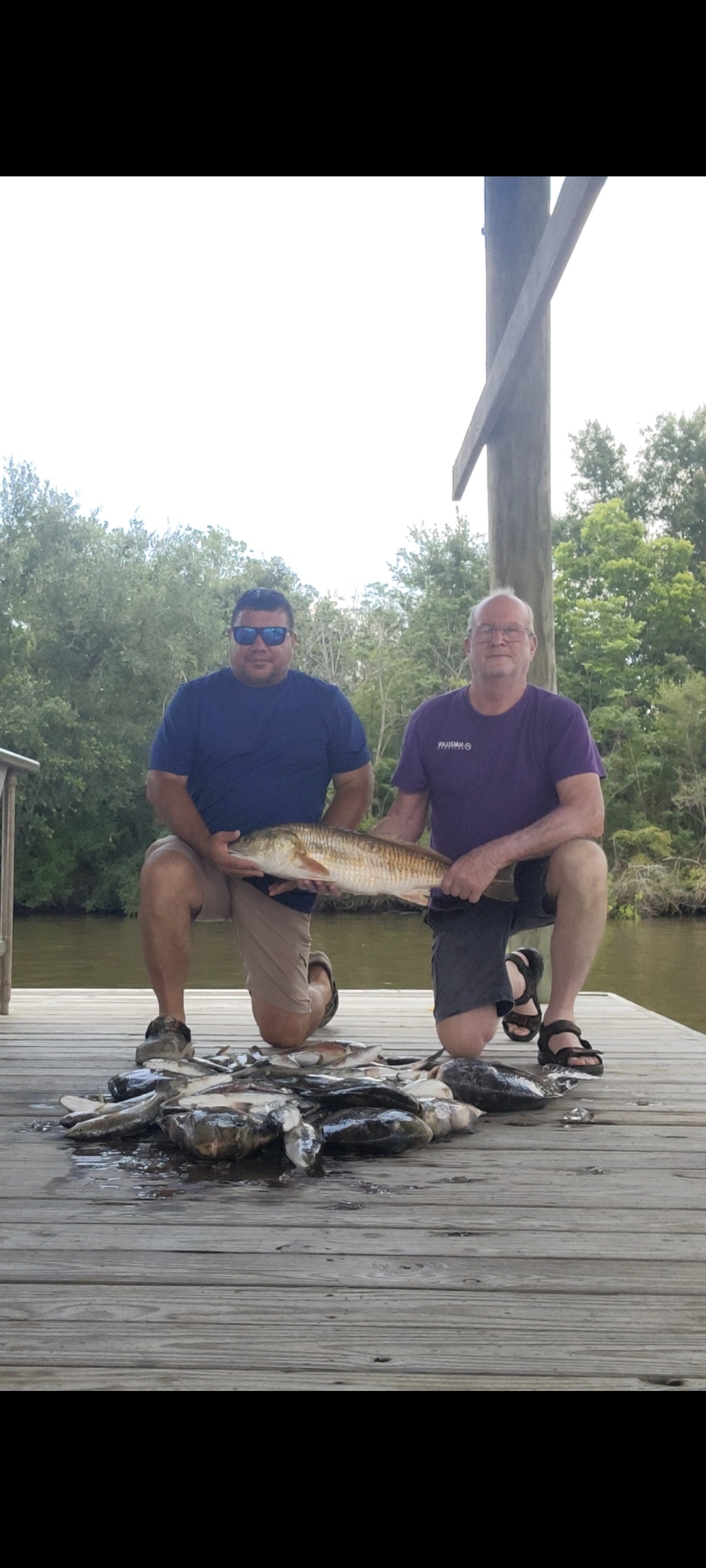 Resized_Screenshot_20230519_145625_Gallery_12346598148674_1743452004515