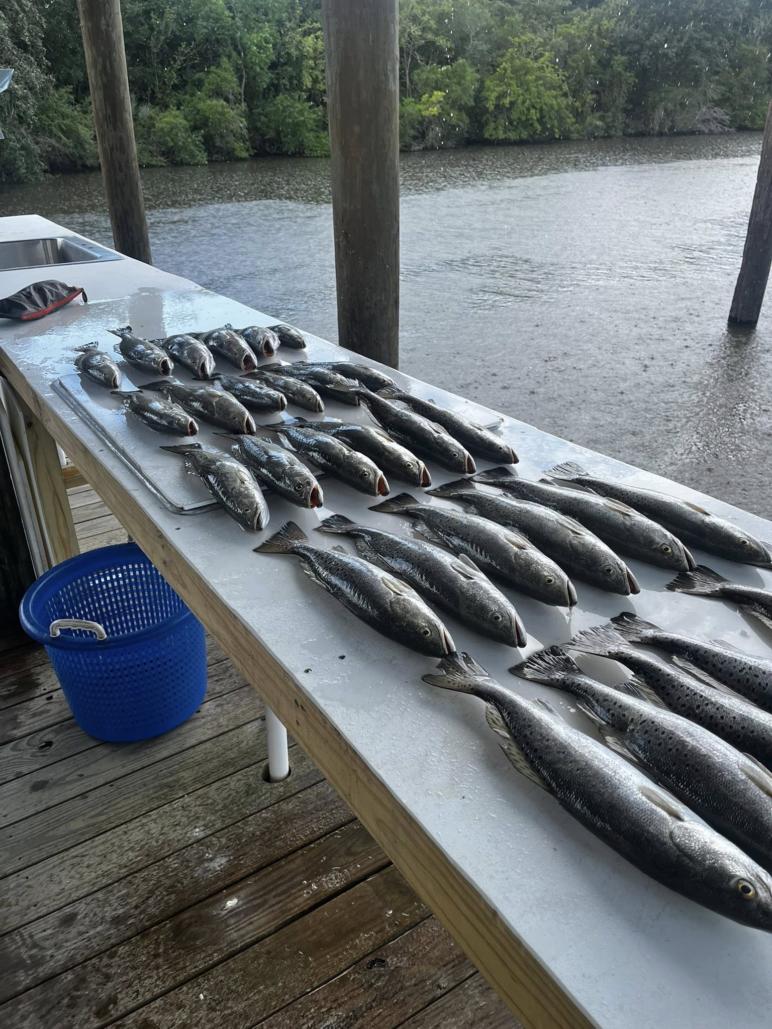 547687590_122288764850008777_7701081692475795622_n