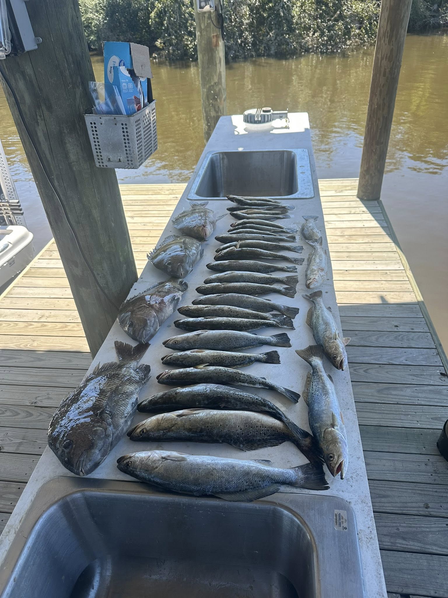 562286399_1296527875549942_2717407634917202138_n