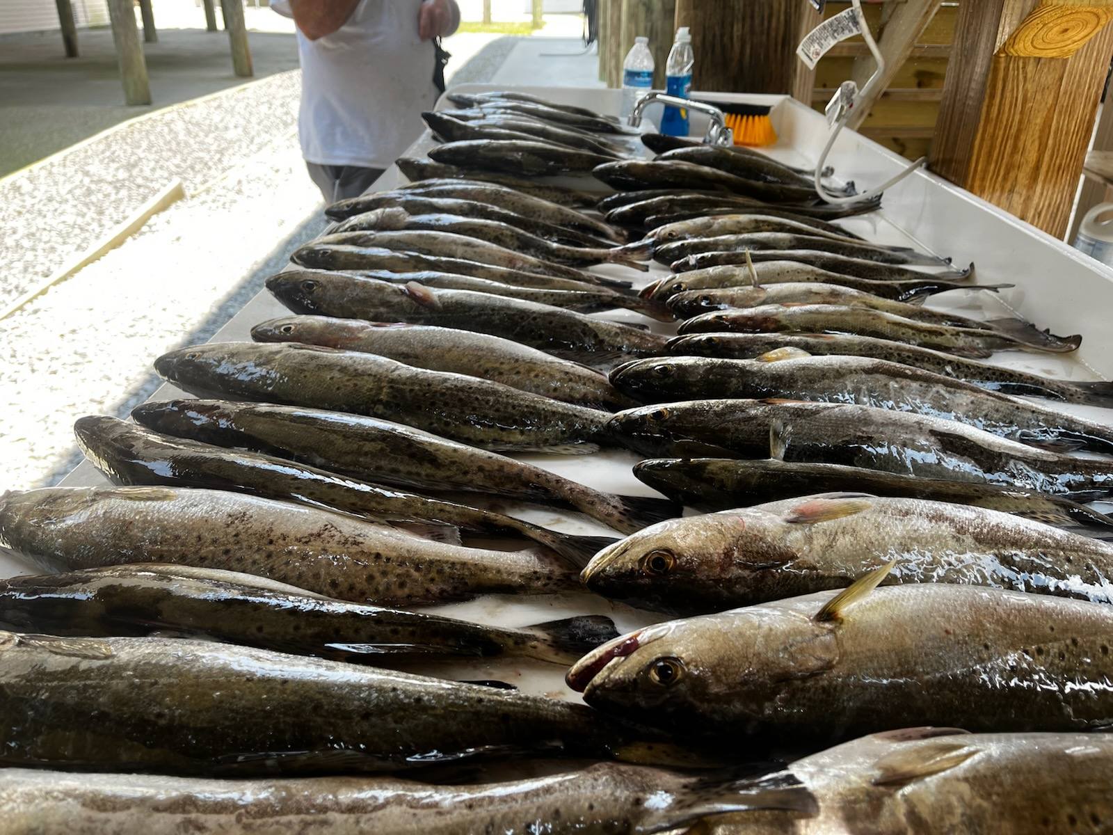 562337858_122143157888809570_6418595659206049205_n