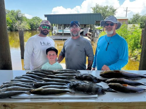 547254993 122288764652008777 8910287307343011593 n