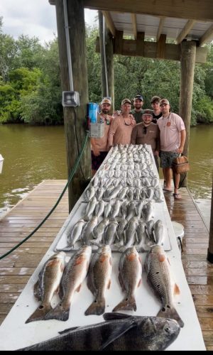 547376053 122288764622008777 8357295781897340361 n