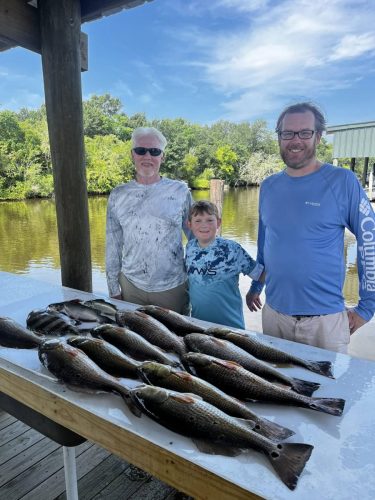 547569792 122288764430008777 820818467793107335 n-1