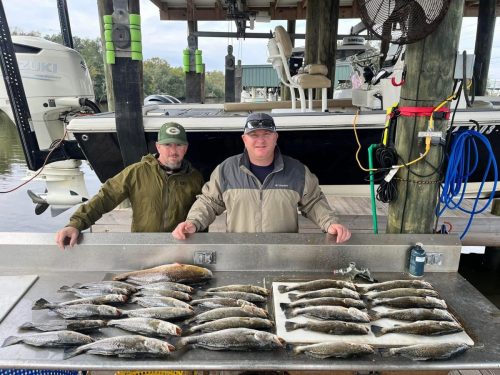 548045194 122288764520008777 8780959440847826875 n