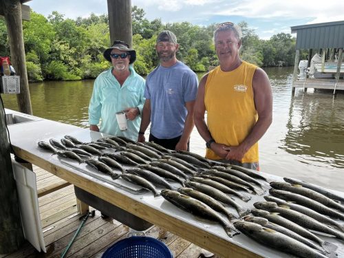 548147616 122288764688008777 3498867550985320790 n