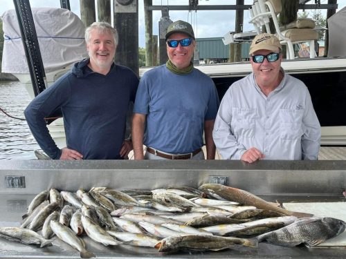 548541265 122288764862008777 6978128125332663037 n