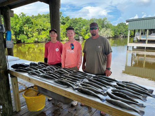 549087152 122288764760008777 2181849497855890135 n