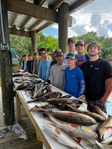 549155990 122288764580008777 2233178495080763420 n