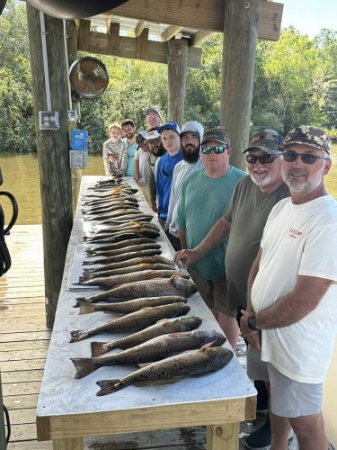 558312485 1293193622550034 7754855042698441282 n