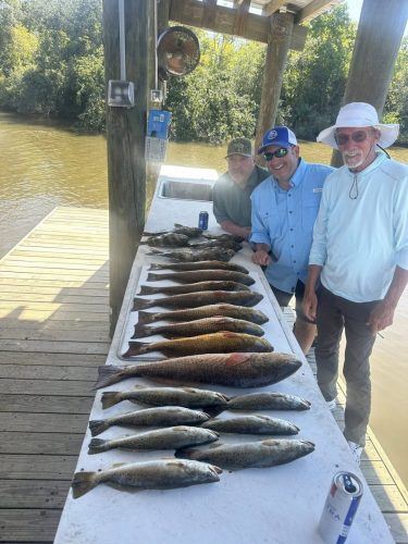 560449450 1292191325983597 5563151960628025979 n