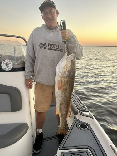 561173564 1296528075549922 5709090926552930240 n