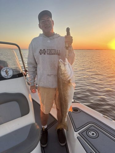 561369734 1296527615549968 5820378028578515371 n