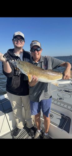 564157944 1296528108883252 5222312779905186153 n