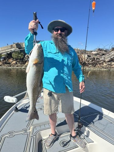 568463421 1301664205036309 3162903118645436772 n