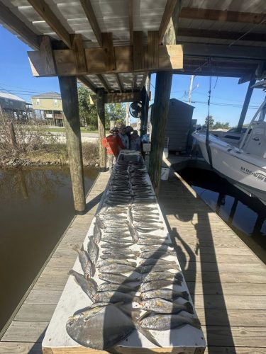 569187741 1301667741702622 5194831794009984980 n